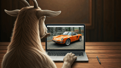 Decisões em machine learning analisam o problema de Monty Hall